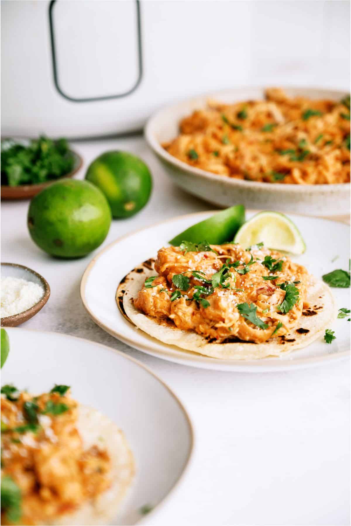 A plate with Slow Cooker Queso Chicken served over a tortilla