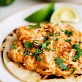 Slow Cooker Queso Chicken served on top of a tortilla