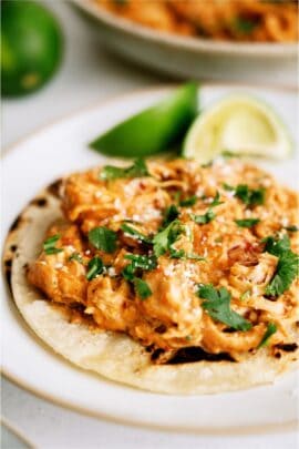 Slow Cooker Queso Chicken served on top of a tortilla