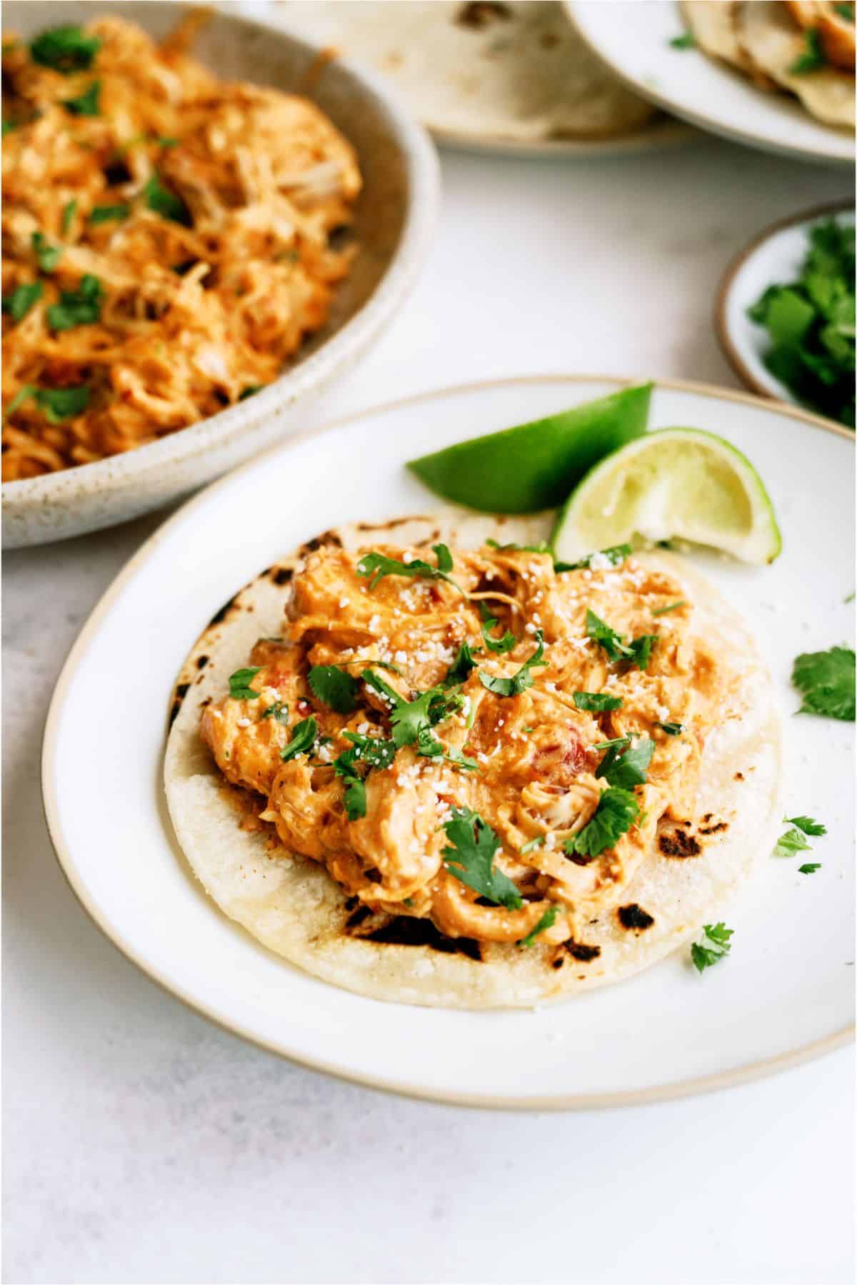 A plate with a tortilla topped with Slow Cooker Queso Chicken