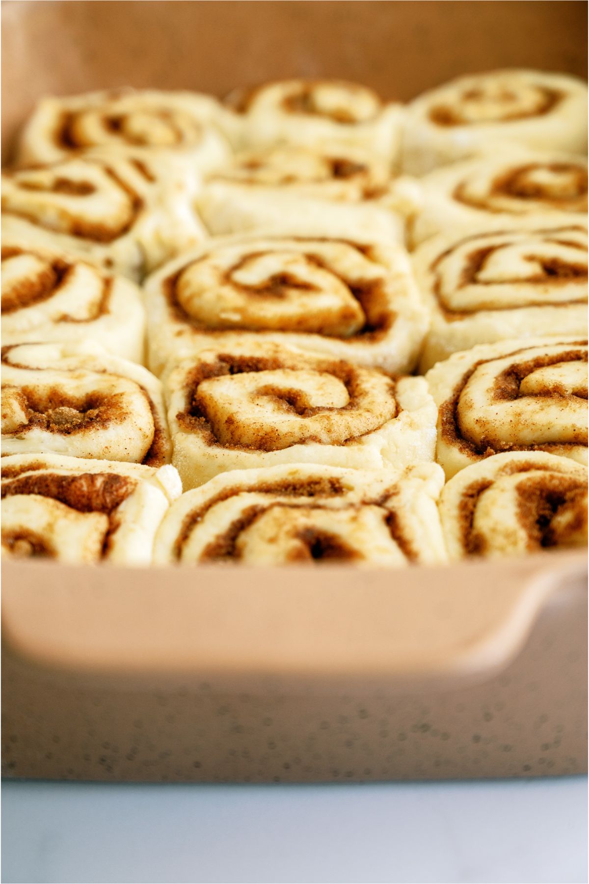 Unbaked The BEST Homemade Cinnamon Rolls in a pan