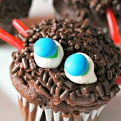 A chocolate cupcake decorated with chocolate sprinkles, two small marshmallows topped with blue and green candies resembling eyes, and red candy strips.