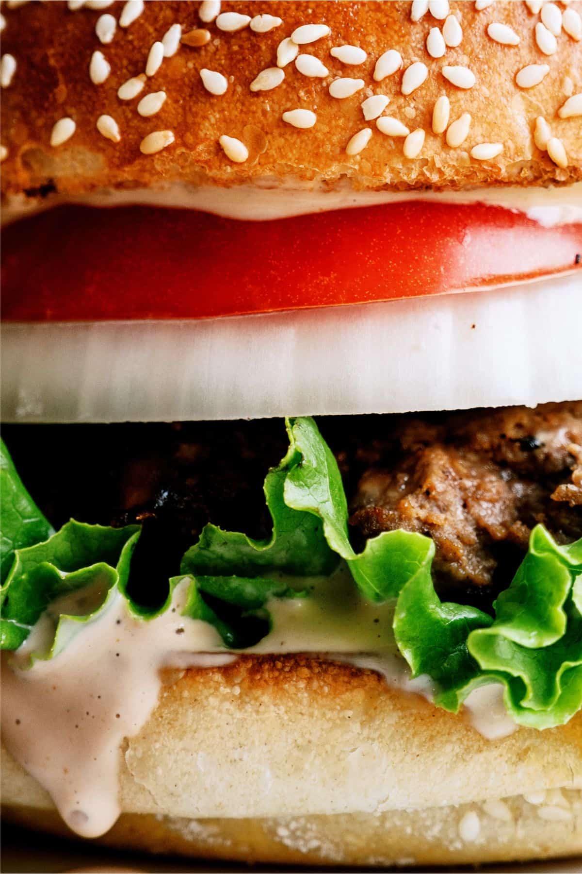 Close up of Best Hamburger Recipe With Famous Secret Sauce