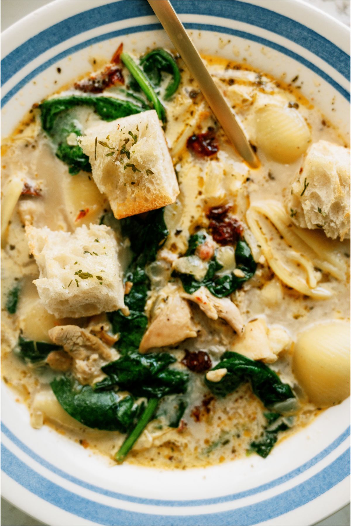 Close up of a bowl of soup with chunks of chicken, pasta and spinach leaves on top.